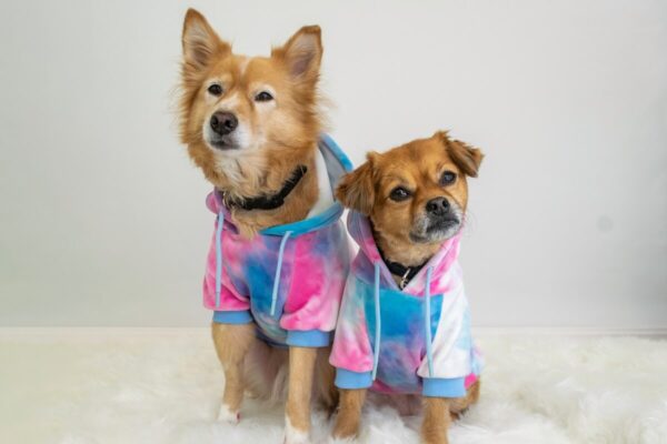 Pet Clothes Patterns